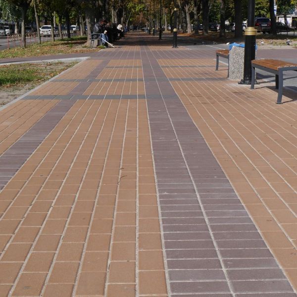 Тротуарна плитка Кирпичик 60 мм Олива 3053 фото